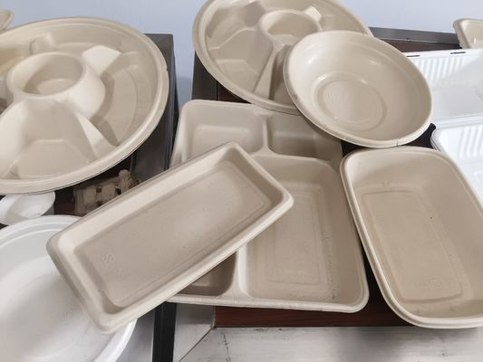 মোল্ড পল্পের জন্য স্বয়ংক্রিয় স্প্রে লেপ সিস্টেম।