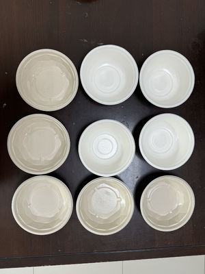 High-Speed Spin Coating Production Line for Pulp Mold Waterproofing, Oilproofing,Stickproofing | Tailored Configuration