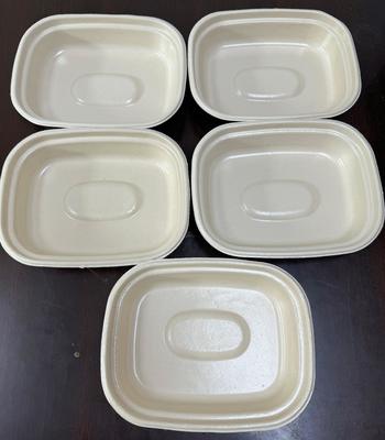 উদ্ভিদ-ভিত্তিক টেবিলওয়্যারের জন্য কার্বন-নিরপেক্ষ ডুয়াল-স্টেশন স্পিন কোটিং প্রোটোটাইপার - প্লেট, বাটি ও মাংসের ট্রেগুলির জন্য কার্বন-নিরপেক্ষ সমাধান