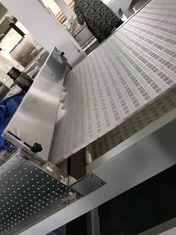 ভেষজ ও ফলের জন্য অবিচ্ছিন্ন মাইক্রোওয়েভ শুকানোর সরঞ্জাম।