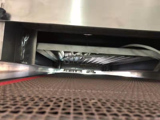 স্বচ্ছ খাদ্য প্যাকেজিং এবং শুকনো ফলের জন্য ইউভি-সি স্টেরিলাইজেশন টানেল - কনভেয়রাইজড ইনলাইন সিস্টেম