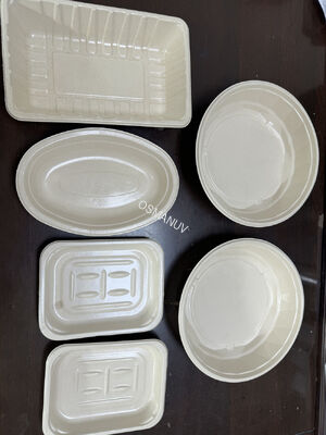 Rotary Spin Coating System for Sustainable Pulp Molded Products