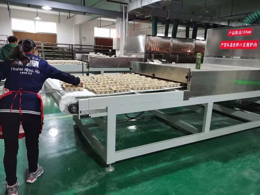 শিল্প মাইক্রোওয়েভ ফল এবং ভেষজ শুকানোর যন্ত্র | উচ্চ দক্ষতা ও গুণমান সংরক্ষণ